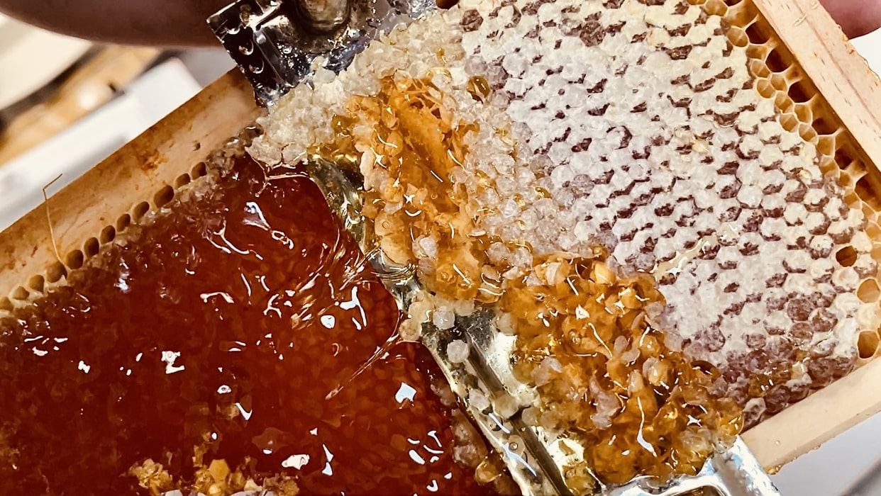 Panal de miel cruda. Miel gallega natural.