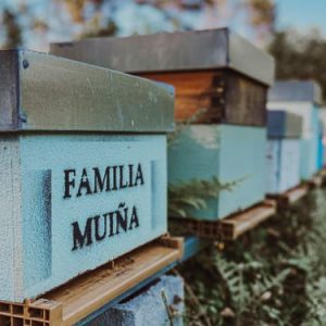 Colmena apadrinada grabada con nombre personalizado para la "Familia Muiña" en el colmenar de Raíña Celta, en Ourense