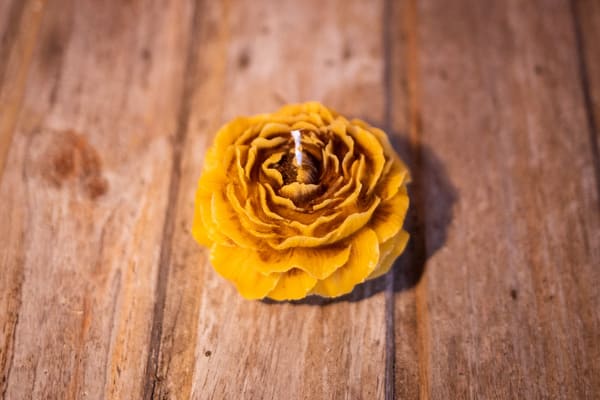 Velas de miel y cera de abeja naturales con forma de rosa